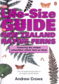 Life-size Guide to New Zealand Native Ferns: Featuring the Caterpillars Which Feed on Them