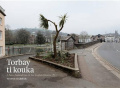 Torbay Ti Kouka: A New Zealand Tree in the English Riviera